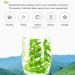 Spring Green Tea Chinese Maojian Tea Strong Fragrant Jasmine Green Tea for Spring Summer Green Tea Clear Flavor Slightly Curled Tea Leaves Natural Chinese Tea for Morning Afternoon Free Time lo - Buy Online on SooperMarket.com