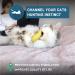 Ertzinla Catnip Toys Banana for Cats UK Banana 100% Natural Cat nip Filled - Buy Online on SooperMarket.com