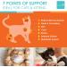 Cat Vitamins - Spectrin 16 OZ Liquid Supplement for Cats - 96 Doses - Buy Online on SooperMarket.com