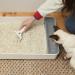 KatKin Scoop Tofu Litter - 100% Biodegradable Non-Tracking Cat Litter (1x2.4kg) | Eco-Friendly Planet-Saving Clumping Litter for Kittens and Cats - Buy Online on SooperMarket.com