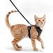 Comfortable cat dishes with a leash - breathable Air mesh suitable for neck circumference 28-35 cm chest scope 45-51 cm - easy to put on and take off (black s) s black