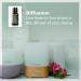 doTERRA Eucalyptus Radiata Essential Oil - 15 mL | Pure & Natural Aromatherapy - Buy Online on SooperMarket.com