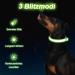 Jostift Luminous Elbe Rechargeable LED Dog Collar - Waterproof & Adjustable for Small/Medium Dogs - Super Bright with 3 Lighting Modes (Green) - Buy Online on SooperMarket.com