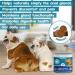 AmeizPet Anal Gland Treatment Soft Dog Chews - 120 Healthy Digestive Fiber Treats - Buy Online on SooperMarket.com