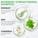 Hair Growth Serum & Rosemary Shampoo - Biotin & Castor Oil for Hair Loss | Effective Regrowth Products for Women & Men - Buy Online on SooperMarket.com