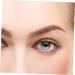 WOONEKY 8pcs Imitation Eco Eyebrow Sticker Transfer Eyebrow 6d Hair-like Eyebrows Fake Transfer Stickers - Buy Online on SooperMarket.com