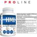 Pro Line HMB Capsules | 3000mg HMB (Beta-Hydroxy Beta-Methylbutyrate) 750mg Per Capsule | HMB Leucine Supplement for Muscle Growth Recovery Muscle Soreness Strength | 120 Capsules (Pack of 2) 120 count (Pack of 2) - Buy Online on SooperMarket.com