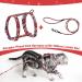 Petom Flower Pattern Cat Dishes & Adjustable Leash Set for Small to Medium Cats (S Red) - Perfect Cat Accessories for International Shipping - Buy Online on SooperMarket.com