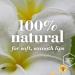 Burt's Bees Vanilla Maple Lip Balm 4.25g - 100% Natural Moisturising Formula - Buy Online on SooperMarket.com