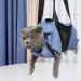 Fockety Cat Nail Clipping Cleaning Grooming Restraint Bag No Scratching Biting for Bathing Pet Bag for Cat Dental Care Administering Eye Drops Ear Cleaner Clipping Nails Trimming - Buy Online on SooperMarket.com