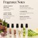 DIME Beauty Perfume Sampler Hypoallergenic Clean Perfumes Eau de Toilette For Women (Set of 5 2 ml) - Buy Online on SooperMarket.com