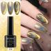 MIZHSE 2-IN-1 Holographic 9D Cat Eye Gel Nail Polish Holo Cat Eye Gel Polish Laser Nail Polish Gel Galaxy Chameleon Magnetic Gel Soak Off UV Gel with Magnet Stick and Black Gel Nail Art - Buy Online on SooperMarket.com