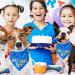 Dog Birthday Bandana Birthday Dog Bandana Boy Triangle Scarf Triangle Dog Scarfs Bandanas for Small Medium Dogs Pets Birthday Party Supplies (Blue) - Buy Online on SooperMarket.com