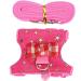 Small Animal Dishes & Leash Set for Squirrels Hamsters Ferrets & Guinea Pigs | Perfect Pet Accessories - Buy Online on SooperMarket.com