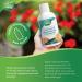 Nature's Way Calcium and Magnesium Citrate 2:1 - Liquid Supplement with Vitamin D3 Vitamin K2 and Collagen Helps Support the Maintenance of Bones and Teeth Orange Flavour 500 mL - Buy Online on SooperMarket.com