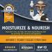 Jungle Pet Aloe Oatmeal Shampoo for Dogs - Hypoallergenic Sensitive Skin Formula - 12 oz - Buy Online on SooperMarket.com