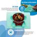 Silicone Non-Slip Baby Placemat for Self Feeding - Classic Baby Plates with Suction Cups for Infants, Toddlers, and Kids - Buy Online on SooperMarket.com