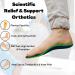 Plantar People Orthotic Insoles - Full Length with Arch Supports, Silicone Heel Pads - XL UK 11-13 | Plantar Fasciitis Treatment - Buy Online on SooperMarket.com
