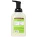 Mrs. Meyer's Clean Day Foaming Hand Soap 10 Oz - Apple Scent - Pack of 1 - Buy Online on SooperMarket.com