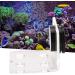 Buy Cikonielf Magnetic Coral Frag Rack - 4 Hole Transparent Acrylic Aquarium Coral Holder for International Shipping - Buy Online on SooperMarket.com