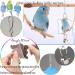 Bird Parakeet Cockatiel Toy Set - 19 Pcs Bird Cage Swing, Hammock, Chewing Toys & Wooden Perches for Conures, Love Birds, Finches, Budgies - Buy Online on SooperMarket.com