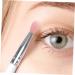 BELLIFFY 10pcs Eye Shadow Brush Makeup Brush Exfoliating Lip Brush Women Eyeshadow Brush Eyeliner - Buy Online on SooperMarket.com
