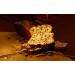 Call Chocolate Baking Mix - Juicy Cake with Delicate Chocolate Flakes | 8 x 500g (62.5g each) - Perfect for Cake Lovers! - Buy Online on SooperMarket.com