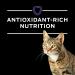 Purina Pro Plan Veterinary Diets DM Feline Formula Dry Cat Food - 10 lb Bag - Buy Online on SooperMarket.com