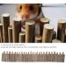 Zerodis 50cm Wooden Hamster Bridge - Flexible Climbing Platform & Cage Accessory for Mice Chinchillas & Small Pets - Buy Online on SooperMarket.com