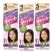 HOYU Bigen Speedy Hair Color Refill No. 5 Deep Chestnut (Pack Of 6)