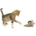 Cat Crack Organic Catnip Premium Blend for Maximum Potency - 1 Cup - Buy Online on SooperMarket.com