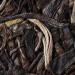 17.6oz 500g 2020 Classic Raw Pu-erh Tea Cake - Aged Fermented Chinese Sheng Pu'er Tea for Daily Drink and Gift - Buy Online on SooperMarket.com