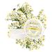Yves Rocher PURE CALENDULA Regenerating Day & Night Cream Moisturizer 50ml Hydrate & Revitalize Your Skin | International Shipping Available - Buy Online on SooperMarket.com