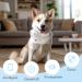 Personalized Dog Stamps & Engraved QR Code Tags | Customizable Pet Profiles | 2PCS-30MM | Ideal for Dogs & Cats | International Shipping - Buy Online on SooperMarket.com