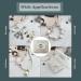 Seenimoe 300pcs 22 Gauge Silver Plated Eye Pins Set for Jewelry Making - 20/30/40/50mm Open Eye and Ball Pins for Earrings, Bracelets, and Pendants - Buy Online on SooperMarket.com