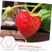 Kisangel 5pcs Fruit Shaping Vegetables Cucumber Fruit Shaper Cherry Tomatoes Stereotypes - Buy Online on SooperMarket.com