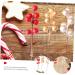 HOMSFOU 60 Pcs Christmas Fruit Christmas Tree Picks Artificial Berry Twigs Diy Floral Art Plant Fake Berry Picks Christmas Holly Decorations Christmas Berry Picks Foam Red Fruit Branch Redx3pcs 17x3cmx3pcs - Buy Online on SooperMarket.com