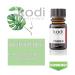 Kodi Professional Nail Dehydrator & Acid Primer | 10ml | Nail Plate Degreaser Gel for Acrylic & Gel Nails | Strong Adhesion & Prep - Buy Online on SooperMarket.com