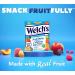 Welch's Fruit Snacks Mixed Fruit & Berries 'N Cherries Bulk Pack Gluten Free Individual Single Serve Bags 22g (Pack of 72) - Buy Online on SooperMarket.com