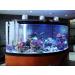 300W 500W Aquarium Heater | Auto Thermostat Submersible | Durable Quartz Glass | 500 W Fish Tank Heater | 3 Suckers | Saltwater Freshwater 50-90 Gallon - Buy Online on SooperMarket.com