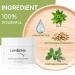 Buy Lanbena Blackhead Remover Peel Off Mask - Effective Blackhead Strips for Nose | Moisturizing & Cleansing | 1.05 Ounce - Buy Online on SooperMarket.com