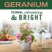 Mrs. Meyer's Geranium Hand Soap Refill, 33 Fl Oz - Pack of 2 | Biodegradable Formula with Essential Oils - Buy Online on SooperMarket.com