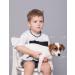 Buy Baltic Amber Dog Necklaces & Collars for Tick Protection - AmberForPets 26cm - Buy Online on SooperMarket.com