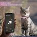 Premium Adjustable Leather Airtag Cat Collar - Reflective GPS Tracking Neck Band for Small Medium & Large Cats (XS Pink 19-26cm) - Anti-Lost Airtag Case - Buy Online on SooperMarket.com