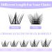Individual Lashes 0.07mm Cluster D Curl 12-16mm Mixed Long Eyelashes Extension Kit - Buy Online on SooperMarket.com