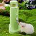 Hamster Water Bottle - Stable Little Pets Automatic Drinking Water Dispenser with Rolling Balls | Pet Animals Water Drinking Bottles for Bunnies Hedgehog Green - Buy Online on SooperMarket.com