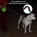 Philorn 5m Retractable Dog Leash - Flexible One-Button Blocking Non-Slip Handle Reflective for Small/Medium Dogs Up to 20kg - Green - Buy Online on SooperMarket.com