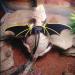 Bearded Dragon Lizard Leash Harness - 3 Size Pack Lizard Wing Traction Harness Leash for Lizard Reptiles Amphibians Small Pet Small/Medium/Large - Buy Online on SooperMarket.com
