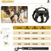 Oneigris Dog Harness & Leash Set | Mini Trooper Puppy Dishes for Extra Small to Medium Dogs - Black XS - Buy Online on SooperMarket.com