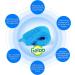 Silicone Sponge Dish Washing Kitchen Gadgets Brush (3 Pack) Blue+Grey+Green - Geloo - Buy Online on SooperMarket.com